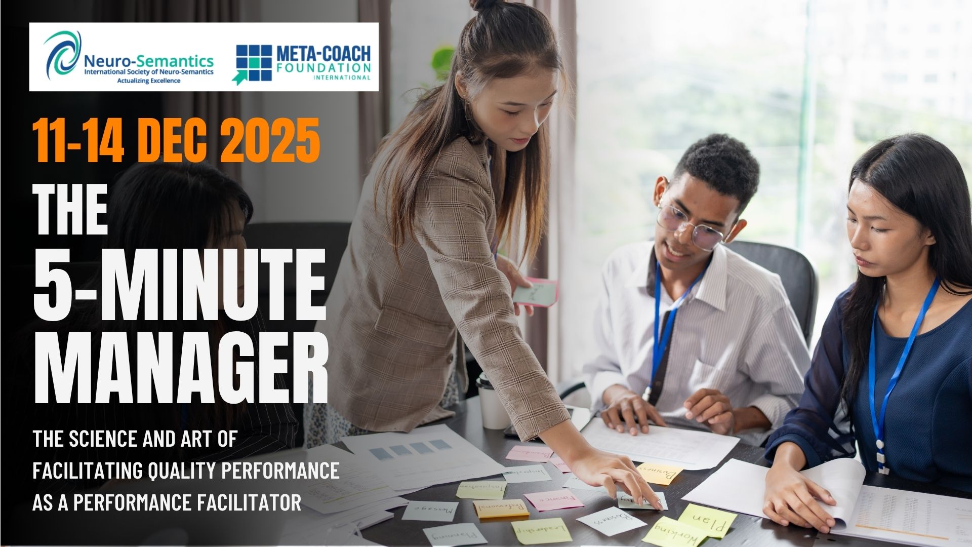 Group and Team Meta-Coach (2)